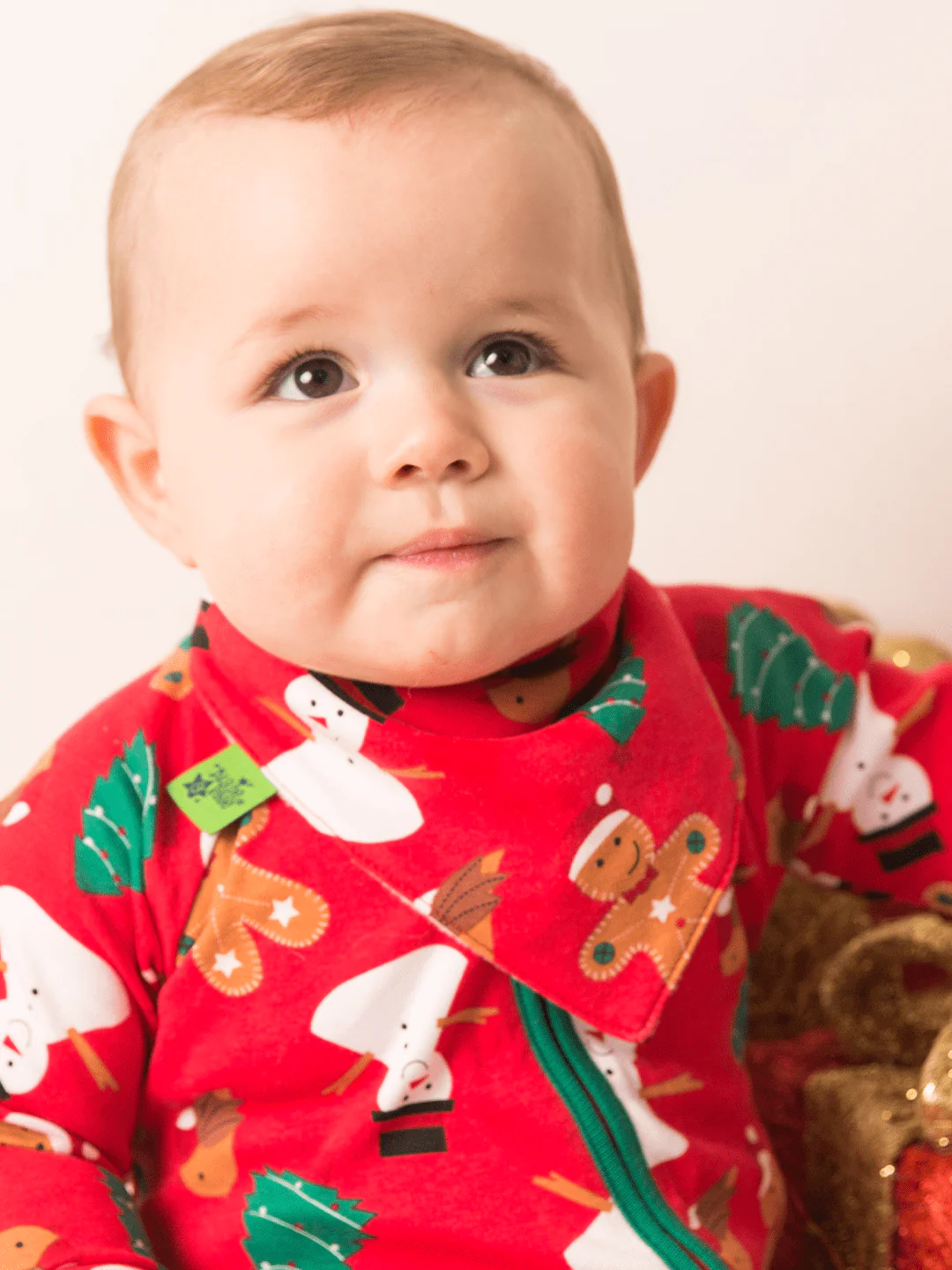 Bibs Bundle - Image 8